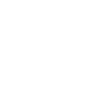 Nixon Companies logo
